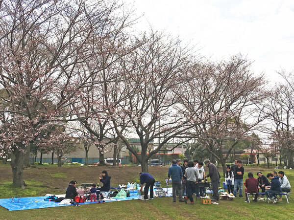お花見会